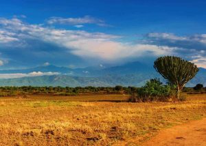 Read more about the article Places leave, too by Ayebare Gillian